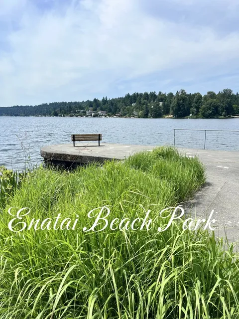 ​​Enatai Beach Park | A Hidden Gem in Bellevue's Waterfront 🏖️🌉​​