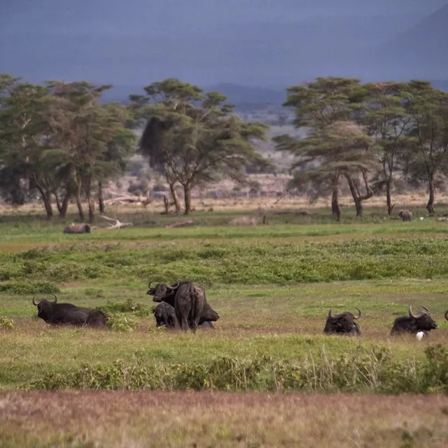 🇰🇪 Kenya Travel Itinerary