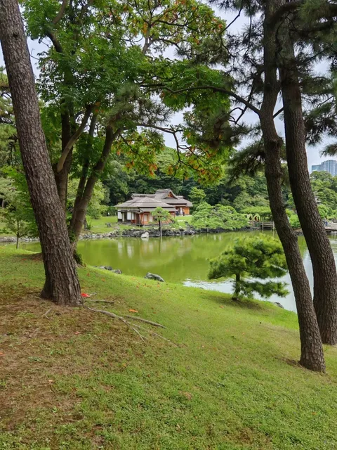 Hamarikyu Gardens 🌿
