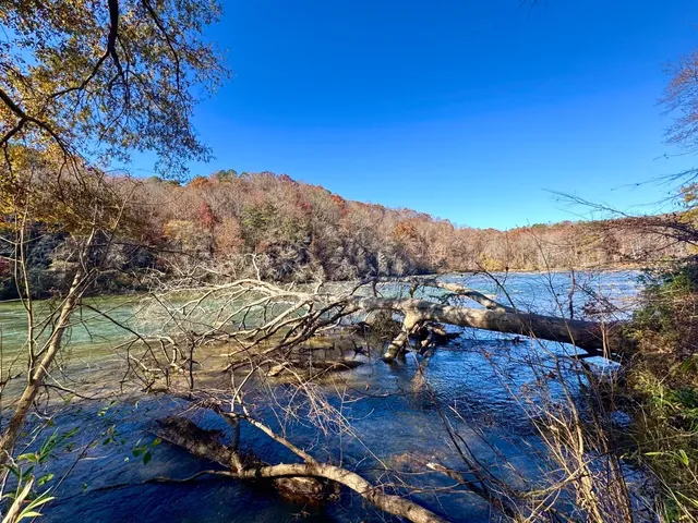 🍳 The Coziest Brunch in ATL | The Select in Sandy Springs