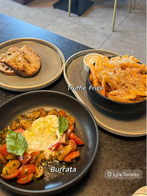 🇨🇦 Toronto DT | Truffle Lovers Will Absolutely Adore 