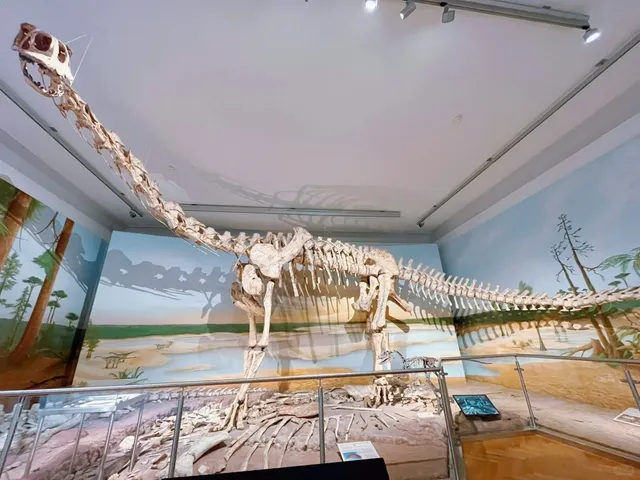 🇩🇪 State Museum of Natural History in Braunschweig 🦕🌿