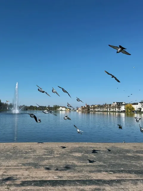 🇩🇪 Schwerin: Germany's Hidden Gem You Must Visit! ✨