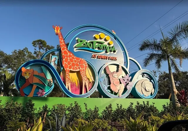 A Diary of Strolling Through Tampa Zoo!