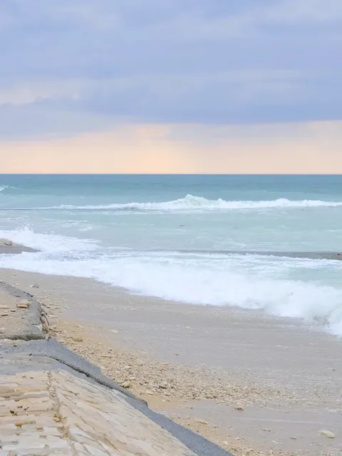 🇫🇷 La Rochelle Oyster Foraging at Plage des Minimes