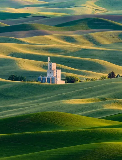 When you come to America, be sure to check out these strange worlds. 