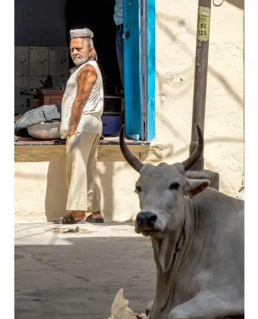 What is the Most Beautiful Thing in Udaipur? 