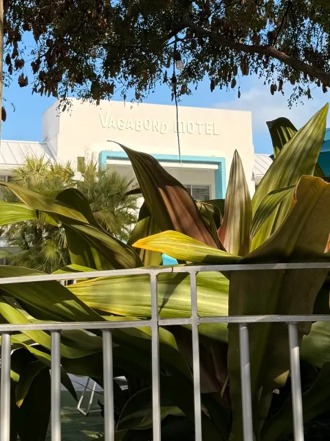 A Wonderful Trip in Miami! 🌴🛳️