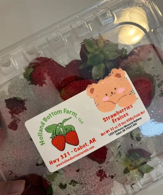 🍓 Found Gratitude Strawberries at the Dallas Farmers Market