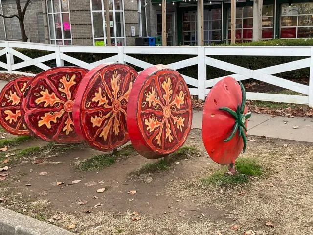 Start Your Tennessee Experience Here – Free or by Hop-On Hop-Off Bus! 