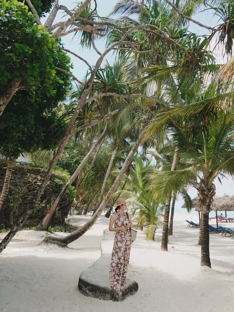 Kenya | Beach Camels, Cave Dining & Love-Hate Mombasa