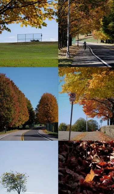 Schenley Park: Pittsburgh's Golden Autumn Paradise 🍂✨