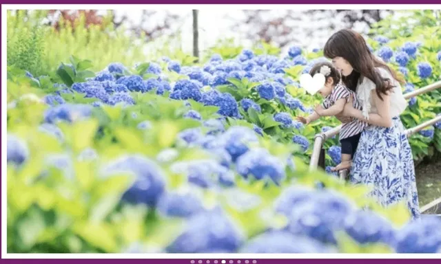 2025 Tokyo Hydrangea Viewing Map(2)