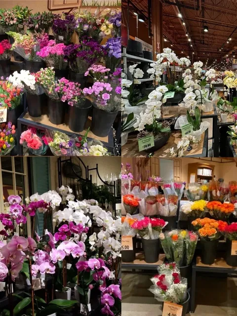  This Has to Be the BEST Grocery Store in Rochester! 🛒❗️