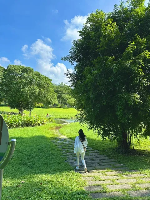 🇸🇬 Hiking | Bishan (Ang Mo Kio Park) + Peirce Reservoir 🌿