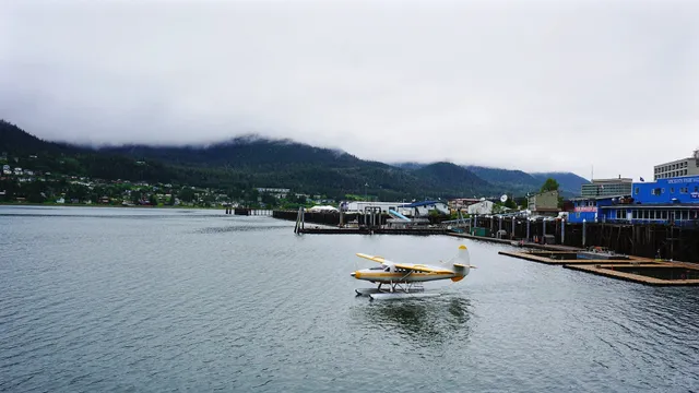Juneau Port Day 🚢🌲