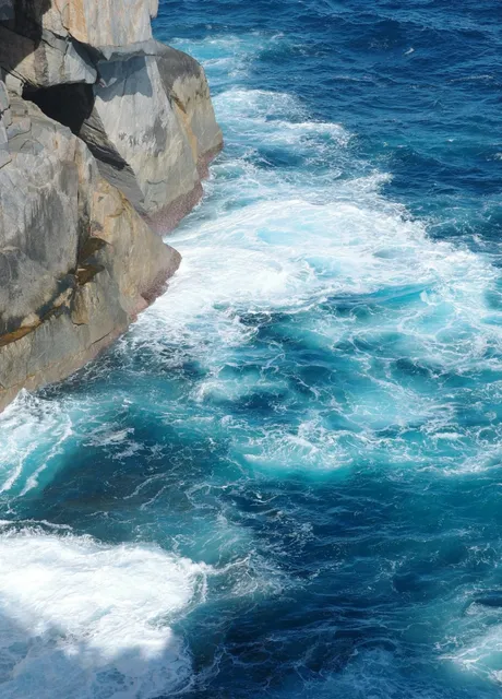 Western Australia Day 4 | Waves, Puppies, Bones, and Kidneys