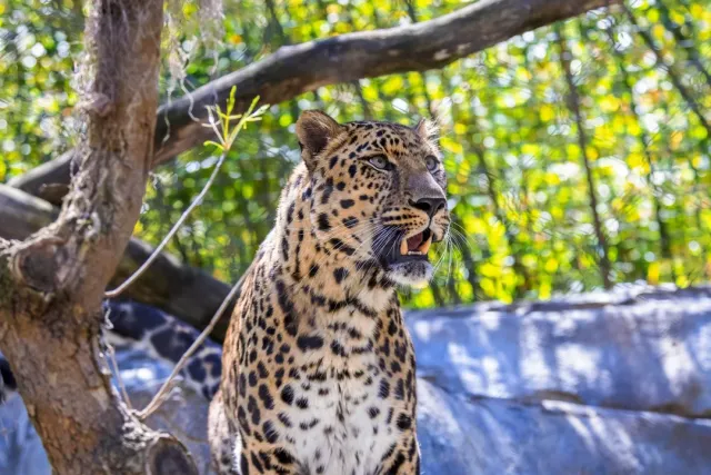 🦁 A Great Experience – Beautiful Grounds & Excellent Staff! 🌿