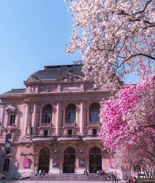 Where to See Magnolias in Lyon? Here's Your Flower-Viewing Guide