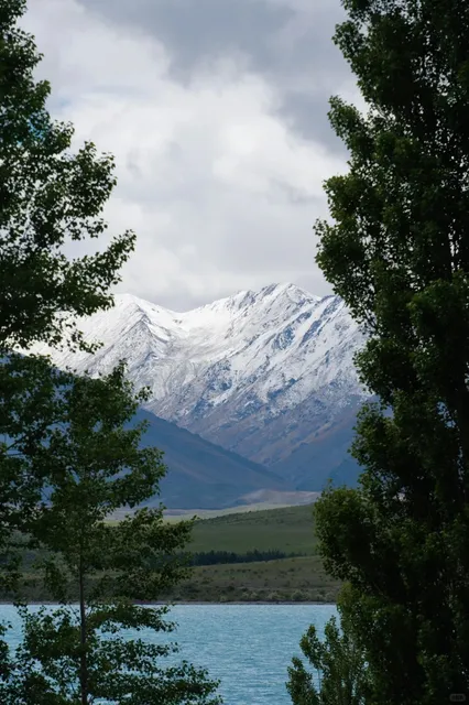 🇳🇿 Tekapo | More Than Just Stargazing! (Type J Traveler’s Guide)