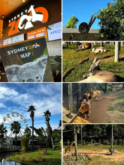 🇸🇬 to 🇦🇺 Sydney 5D4N Itinerary ✈️