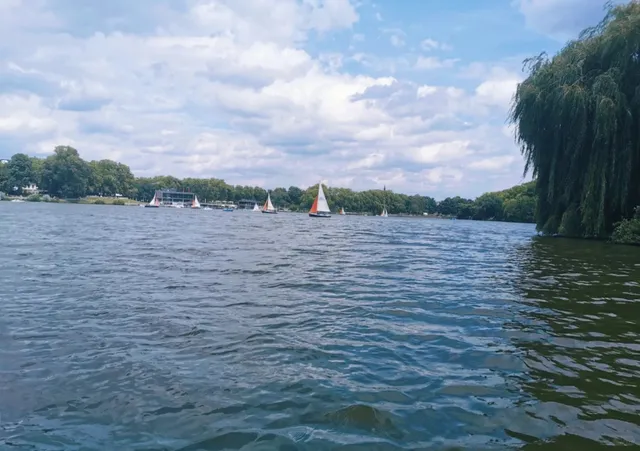 🇩🇪 Münster in a Day: From Churches to Carnivorous Plants