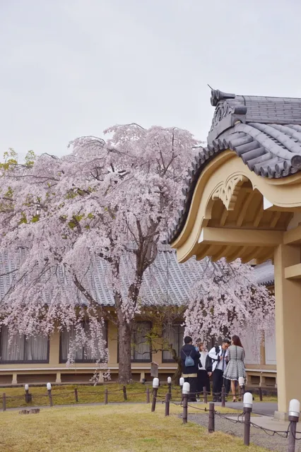 Kyoto: Daigo-ji Temple