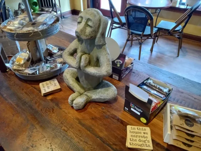 Awesome Bartender, Fun Vibe & Quirky Vibe! 🍻