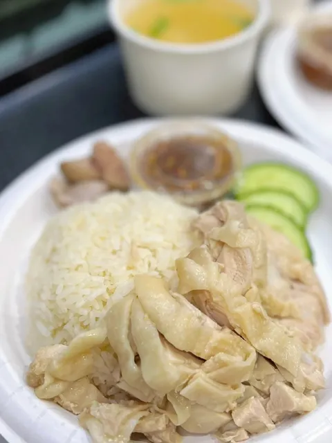 New York's Tasty Hainanese Chicken Rice Near NYU 🍔