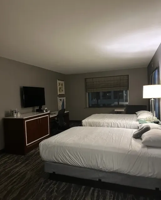 St. Louis Hotel | Hyatt Regency St Louis at the Arch