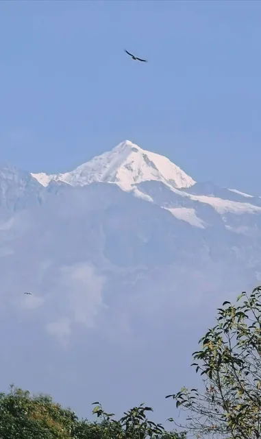 I found a place where you can lie in bed and watch the snow-capped mou