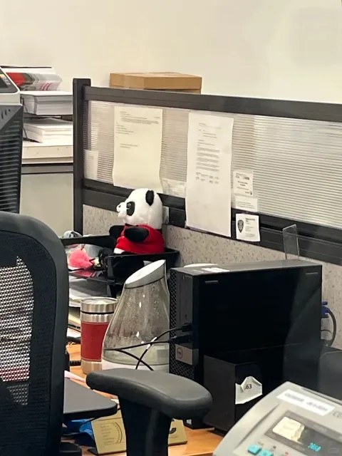 Auckland Food Picks｜3 Restaurants Worth a Visit 🍖🍴