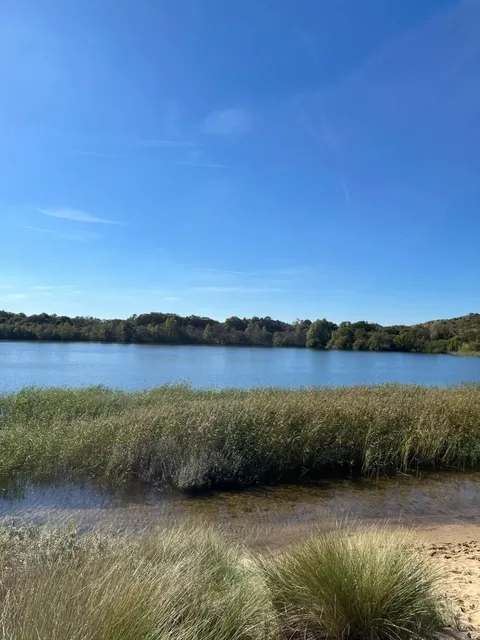 🇳🇱 Hiking in the Netherlands: Where the Trail Meets the Sea 🌊