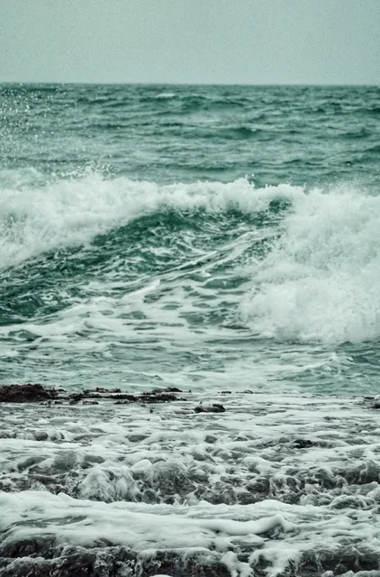 Gandoca-Manzanillo Wildlife Refuge | Raw Caribbean Wilderness