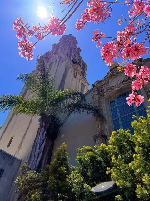 ✨ San Diego's Hidden Gem !