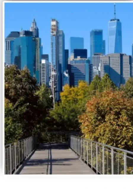  The Ultimate Guide to Autumn Leaf Viewing in New York(2)