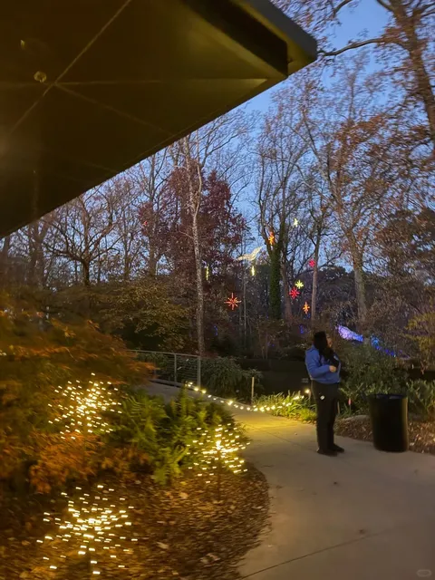 Garden Lights, Holiday Nights A Magical Winter Experience in Atlanta!