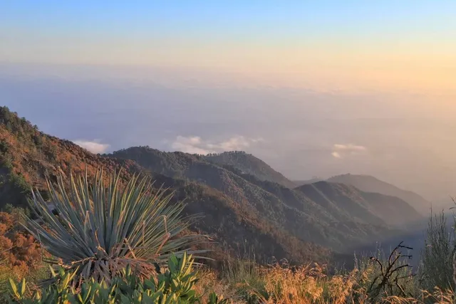 Mt. Wilson Sunset & Sea of Clouds 🌄