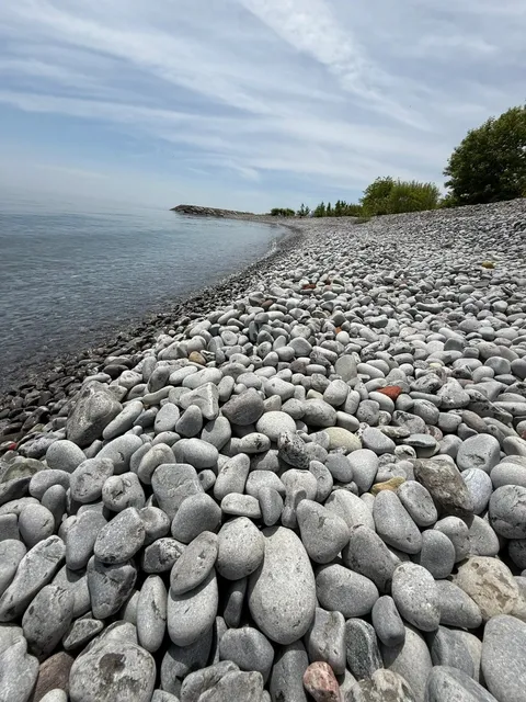 🇨🇦 Toronto's Hidden Gem: Scarborough's Breathtaking Forest Trail 🌳✨