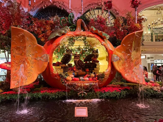 🇺🇸 Welcome to Las Vegas! 🎰✨