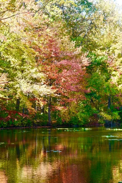 A Fairytale Escape in the Fall Near New York 🍂✨✨