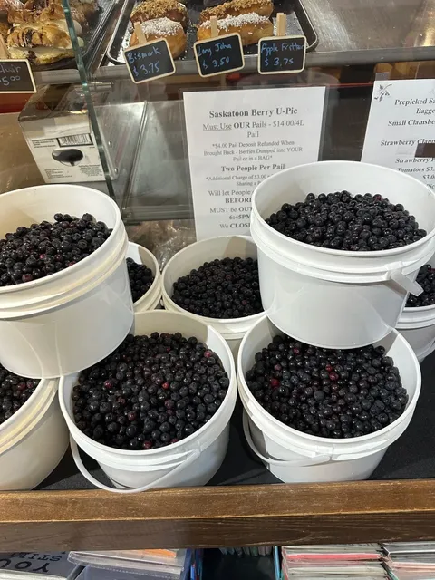 🇨🇦 Berry Barn's Saskatoon Berry Season is HERE!