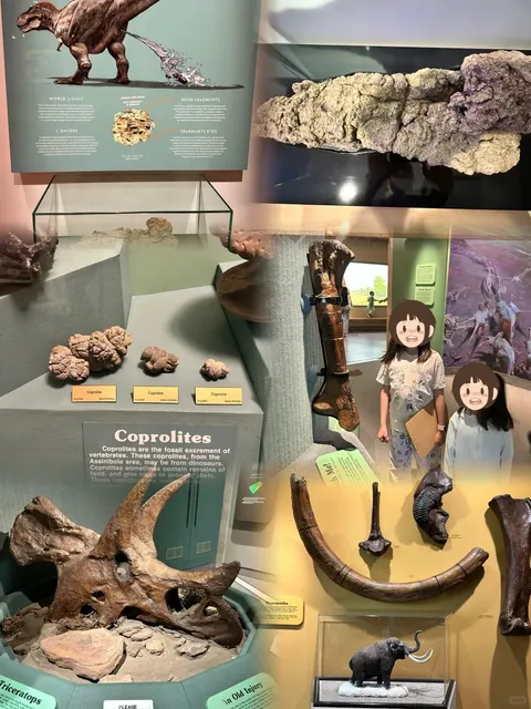 📍Crossing North America: Days 7-9 | Banff-Calgary-Regina