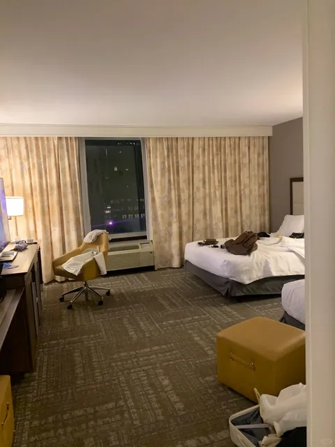 Hilton Hotel in the USA 🏨🌟