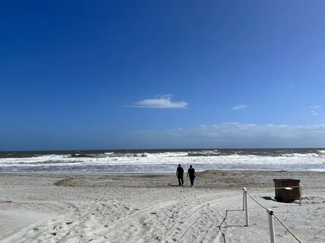 🌊 Jacksonville Beach | Windy Day & Seafood Feast! 🦀