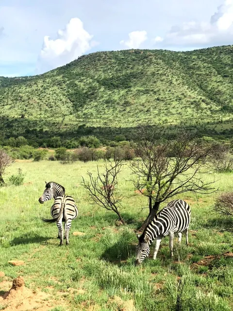 An experience that I can brag about for a lifetime