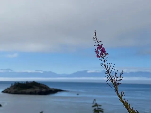 🇨🇦 ​​Sooke Point: Where the Wild Still Rules!​​ 🌲🏝️
