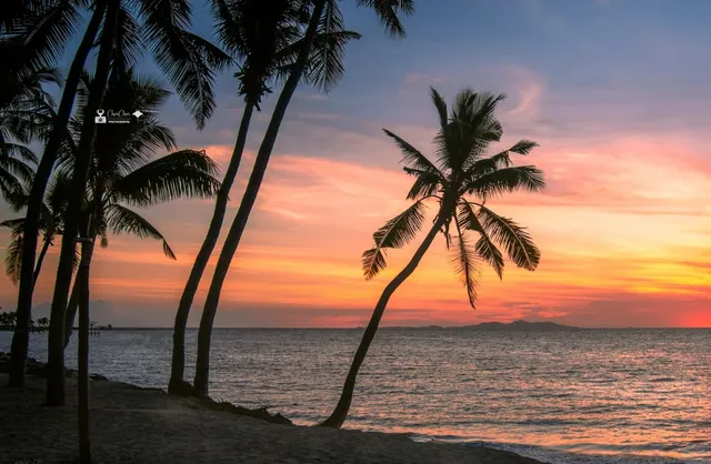 🇫🇯 Fiji - The Ultimate South Pacific Paradise! 🌺