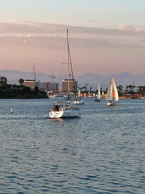 live🧩 Los Angeles' Hidden Gem｜A Secluded Beach Escape 🌊✨