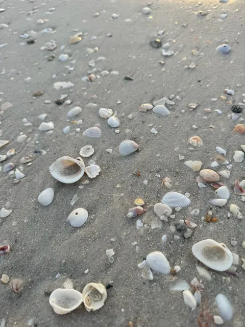 Travel & Food in Naples, Florida